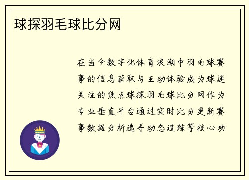 球探羽毛球比分网