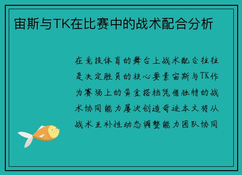宙斯与TK在比赛中的战术配合分析